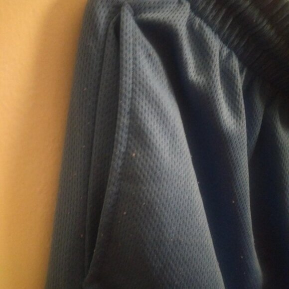 Colosseum Light Blue “Lady Volunteers” Shorts – Size XL - Picture 6 of 7